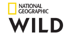 Лого National Geographic Wild